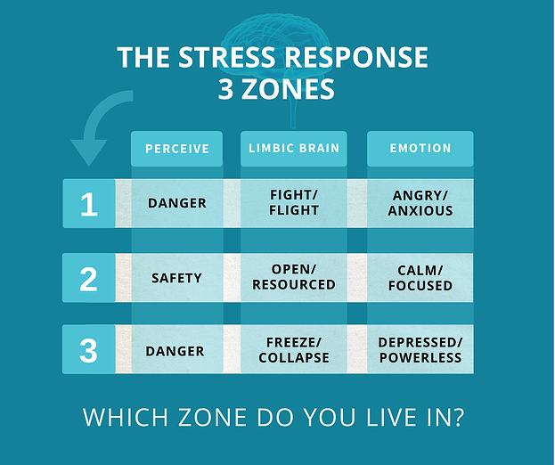 FB-post-THE STRESS RESPONSE  3 ZONES