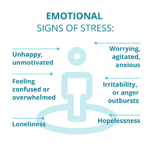 NFT-Signs-of-Stress-Emotional