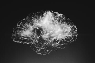 brain activity black and white image